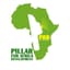 PILLAR FOR AFRICA DEVELOPMENT -P